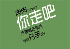 乔乔宋导
